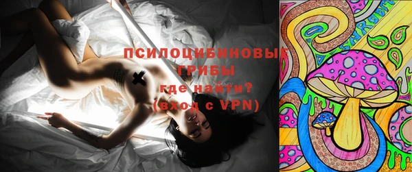 эйфоретик Нязепетровск