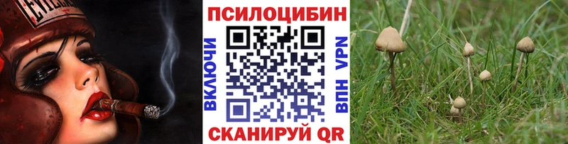 кракен ссылки Николаевск-на-Амуре Псилоцибиновые грибы мухоморы